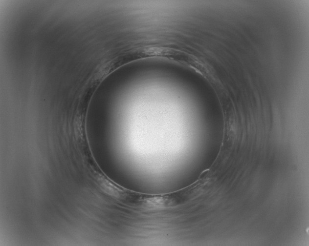 X0000064720473200602101128