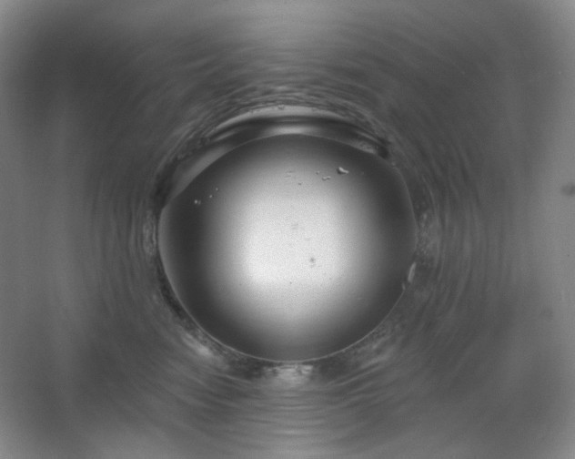 X0000064720474200602101128