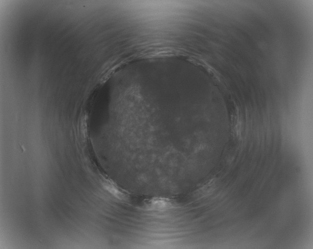 X0000064720475200602101128