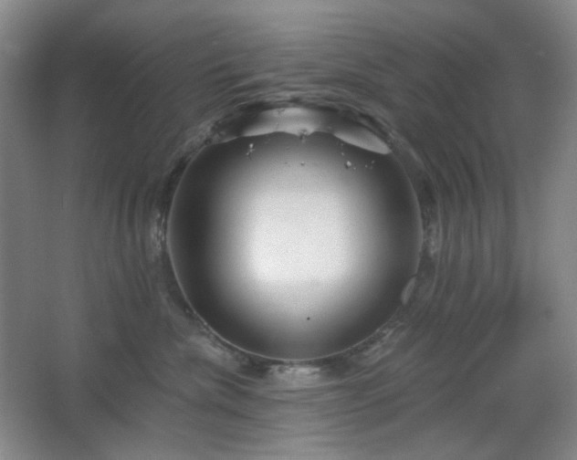 X0000064720476200602101128