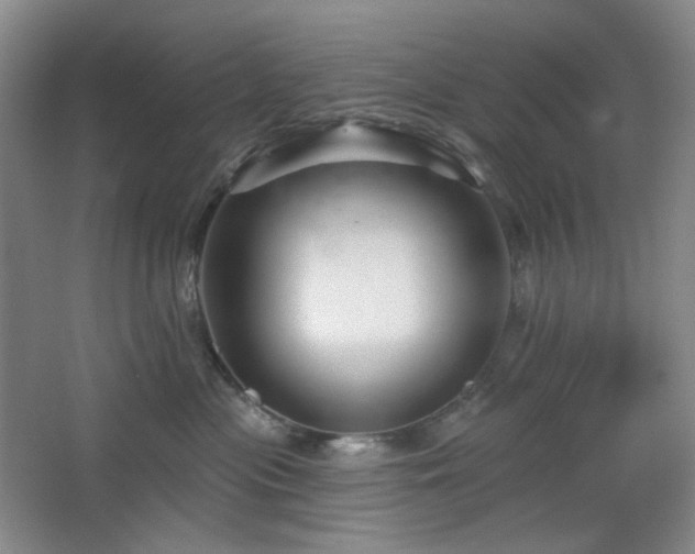 X0000064720477200602101128