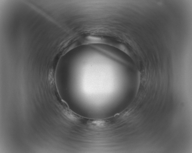 X0000064720478200602101129