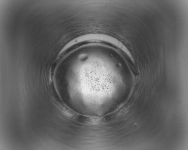 X0000064720479200602101129