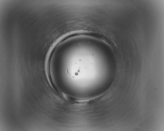 X0000064720480200602101129