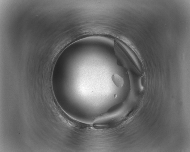 X0000064720481200602101128