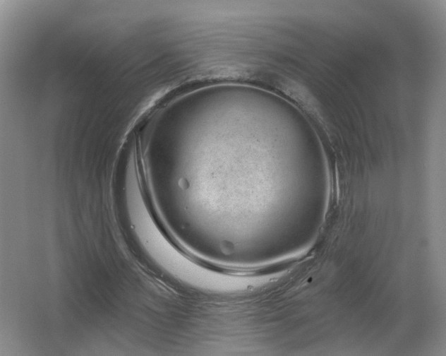 X0000064720483200602101128