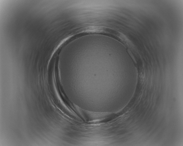 X0000064720484200602101128