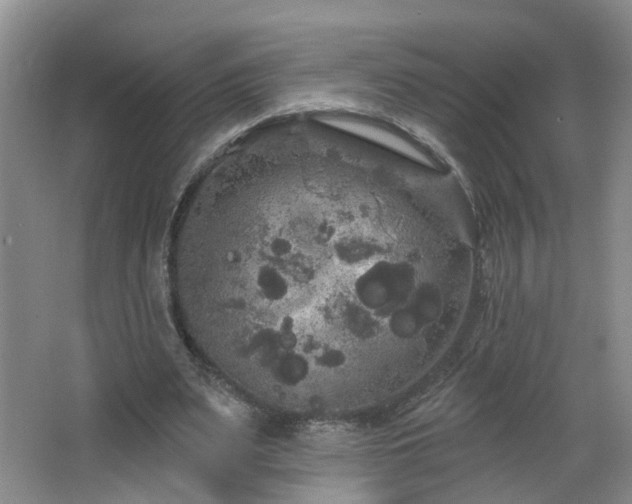 X0000064720487200602101128