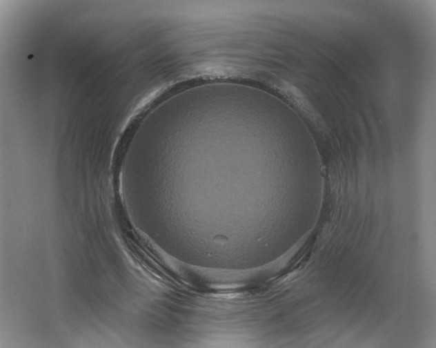 X0000064720488200602101128