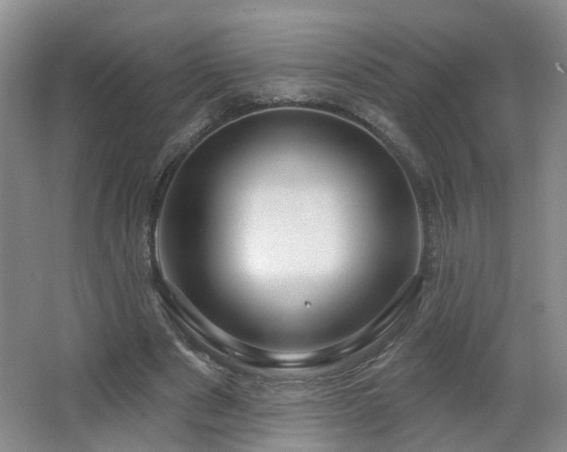 X0000064720489200602101128