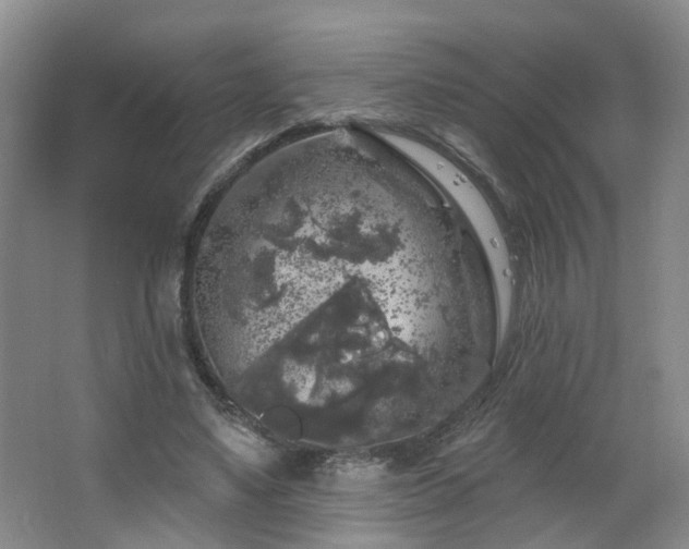 X0000064720491200602101128