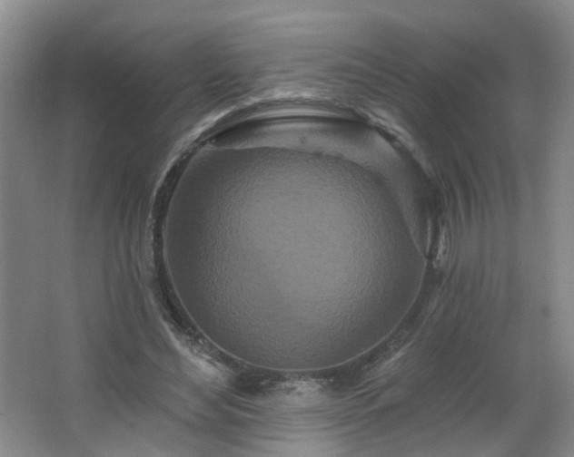 X0000064720492200602101128