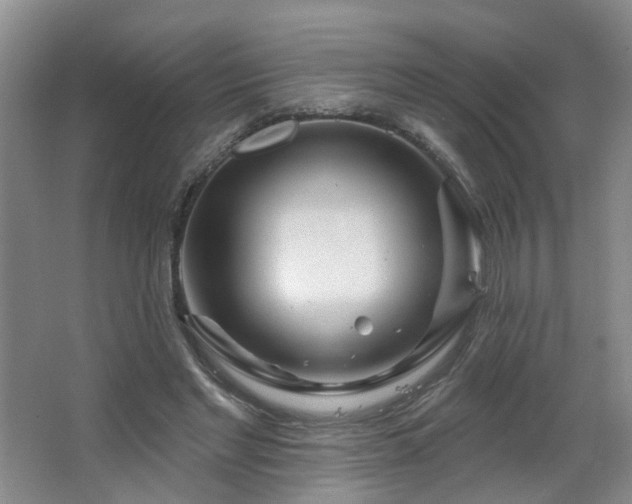 X0000064720493200602101128