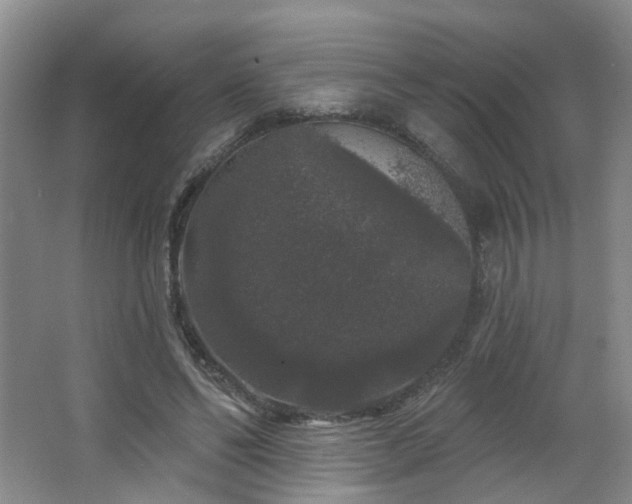 X0000064720494200602101128