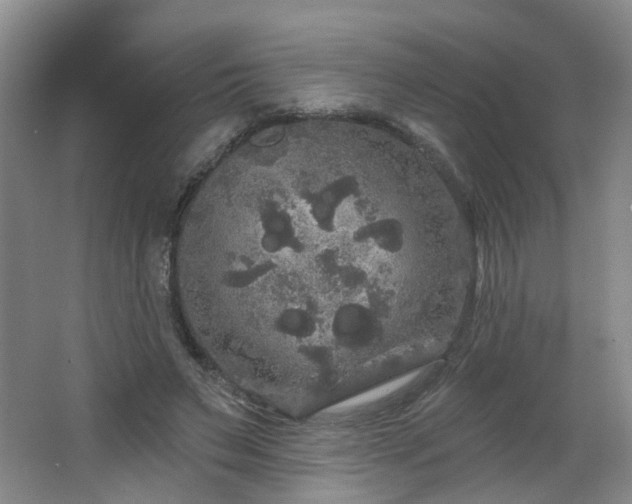 X0000064720495200602101127