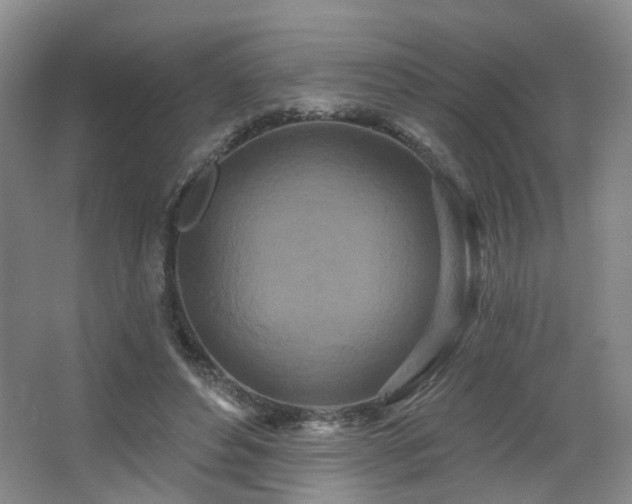 X0000064720496200602101127