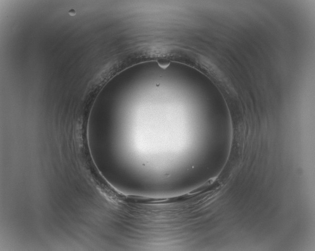 X0000064720497200602101127