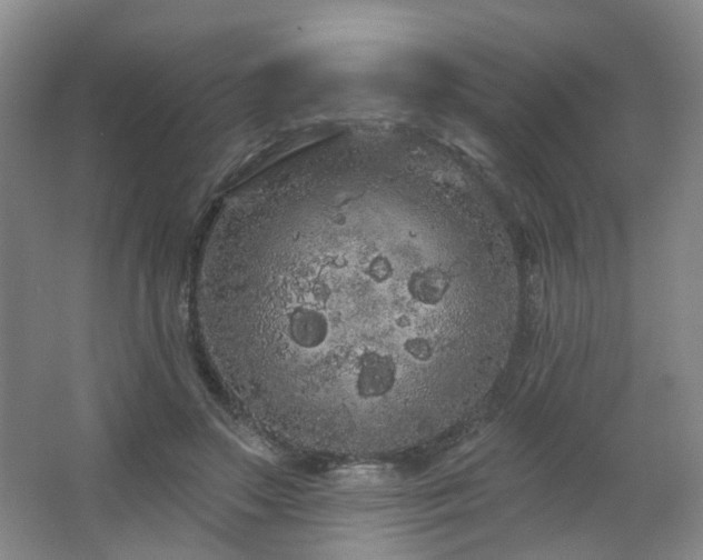 X0000064720499200602101127