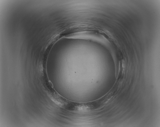 X0000064720500200602101127