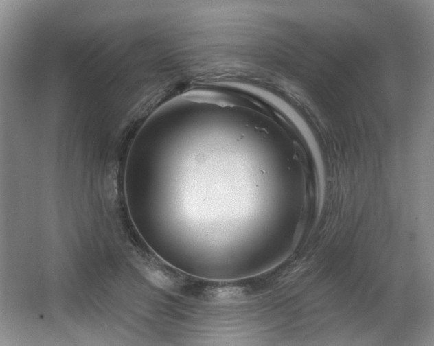 X0000064720501200602101127