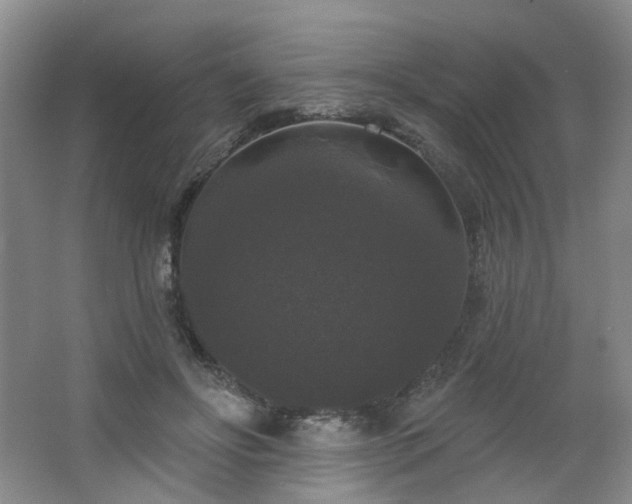 X0000064720502200602101127