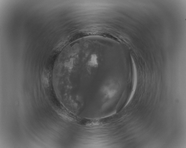 X0000064720503200602101127