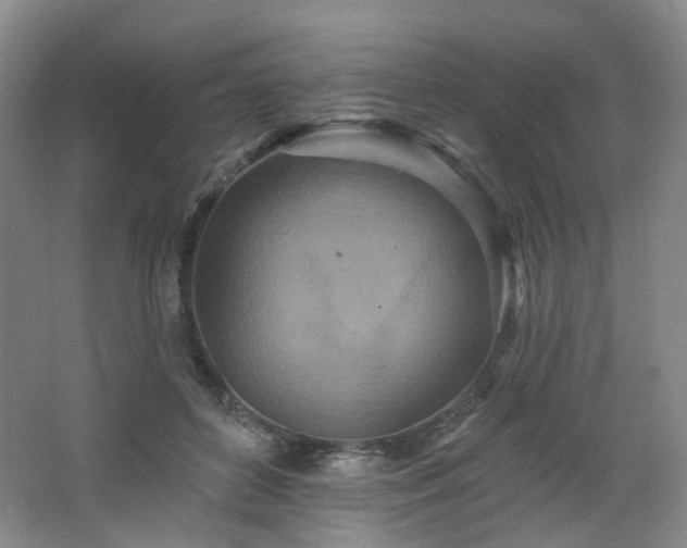 X0000064720504200602101127