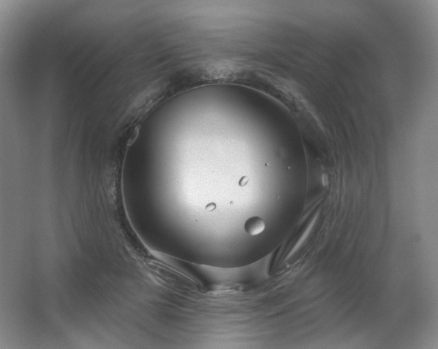 X0000064720505200602101127