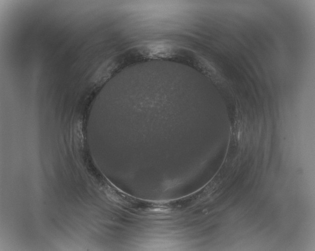 X0000064720506200602101127