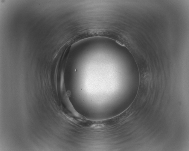 X0000064720508200602101127