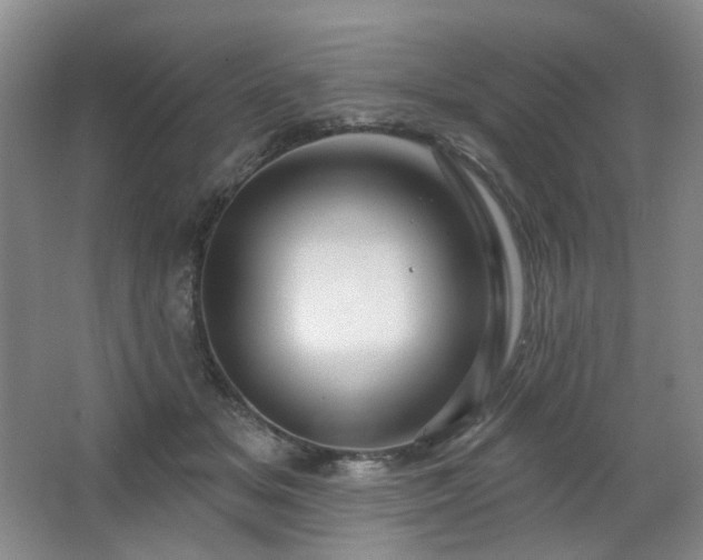 X0000064720509200602101127