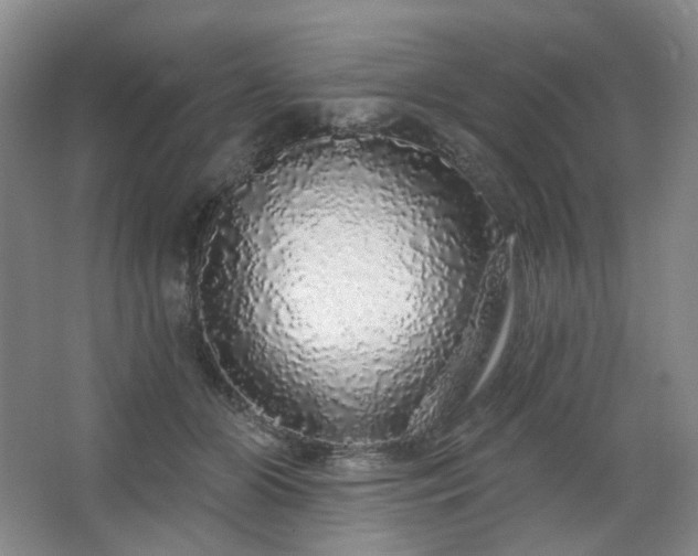 X0000064720510200602101127