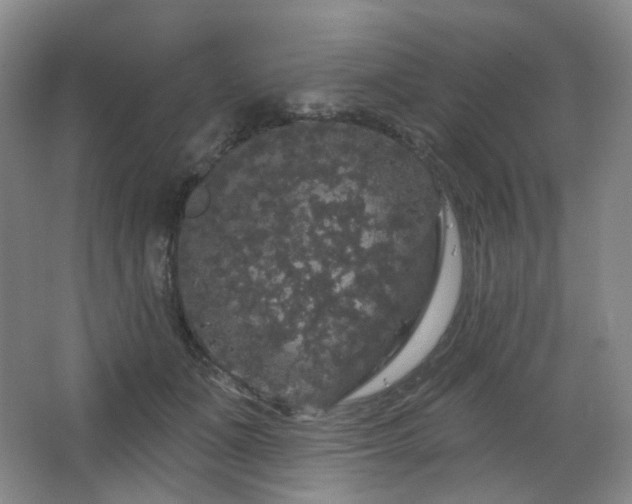 X0000064720511200602101127