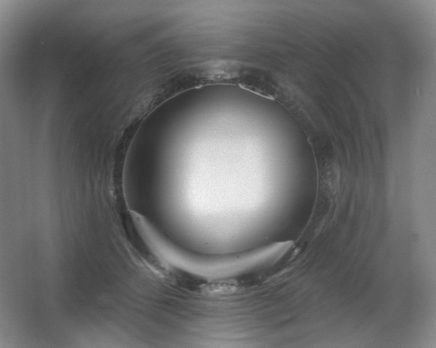 X0000064720512200602101127