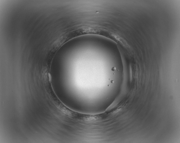 X0000064720513200602101127