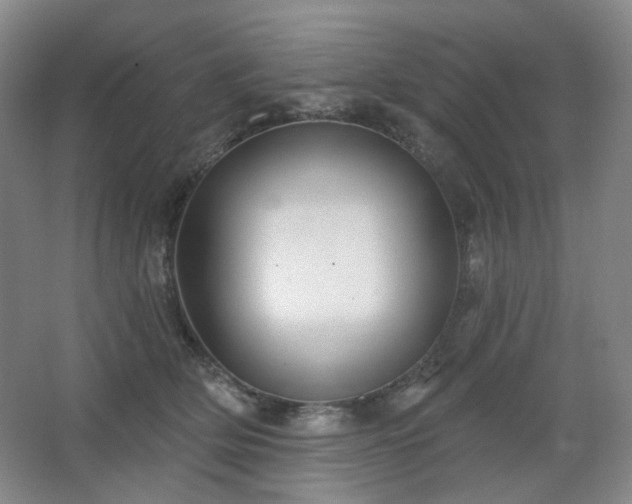 X0000064720514200602101127