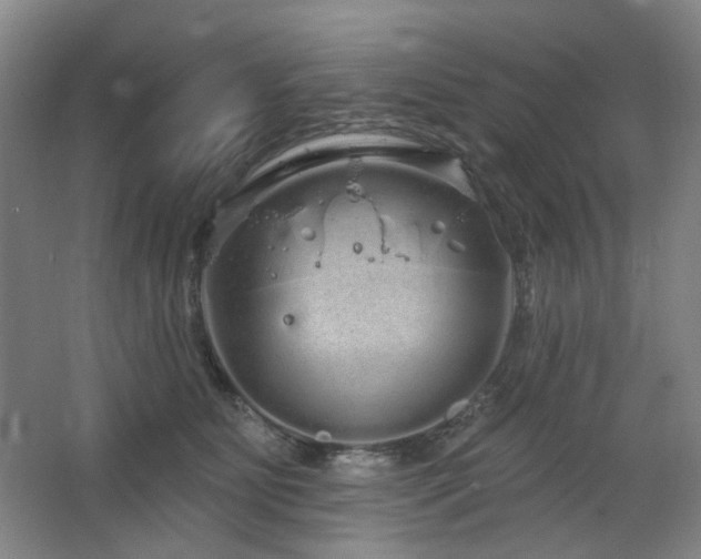 X0000064720515200602101127