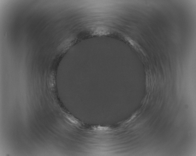 X0000064720517200602101127