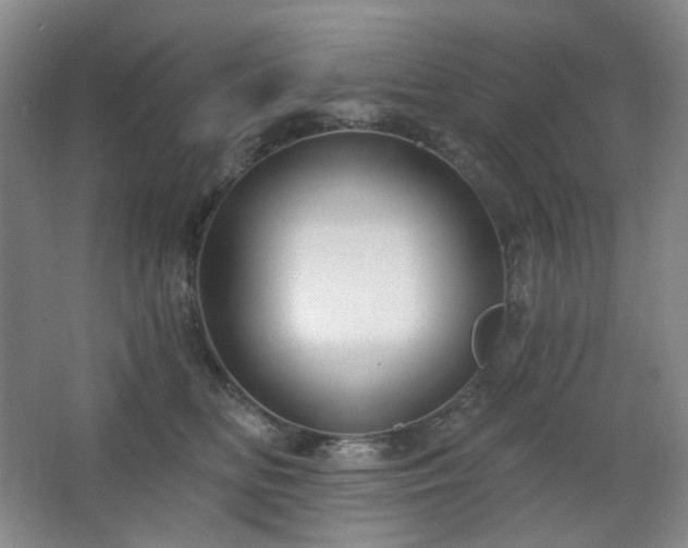 X0000064720518200602101127