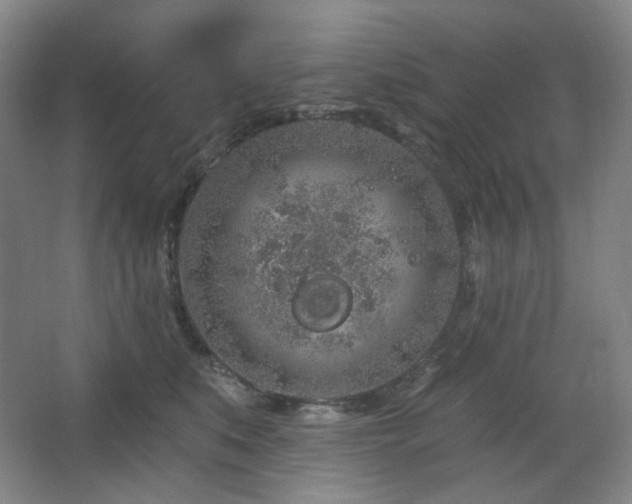 X0000064720519200602101127