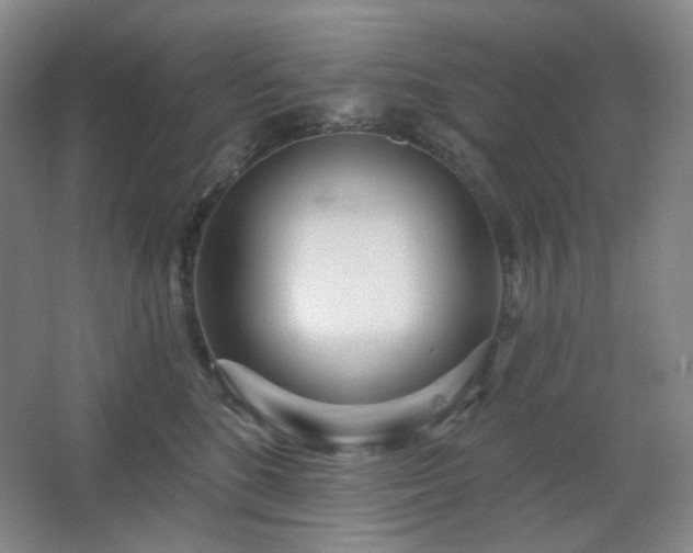 X0000064720520200602101127