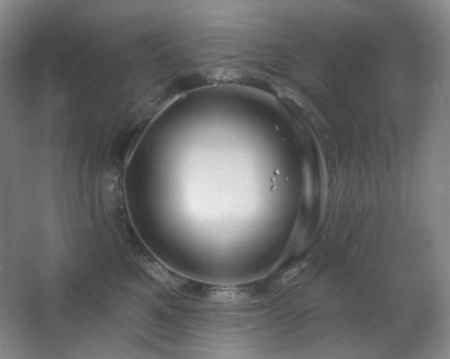 X0000064720521200602101127