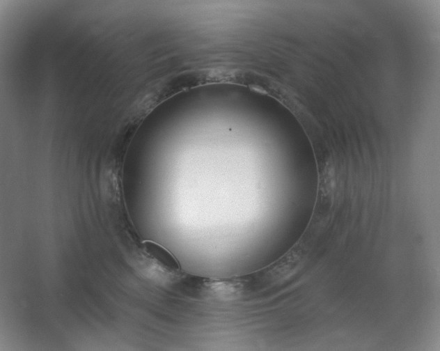 X0000064720522200602101127