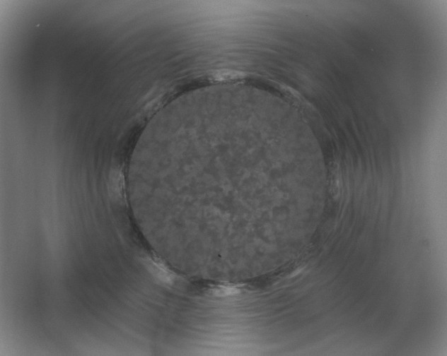 X0000064720523200602101127