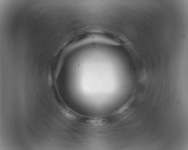 X0000064720524200602101127