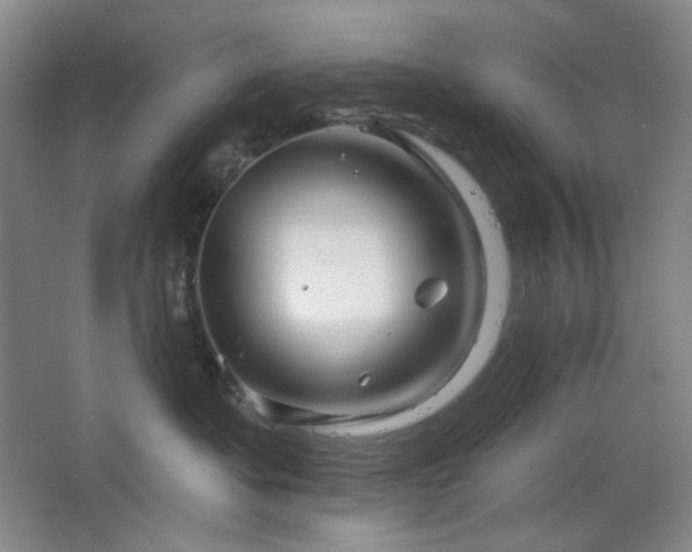 X0000064720525200602101127