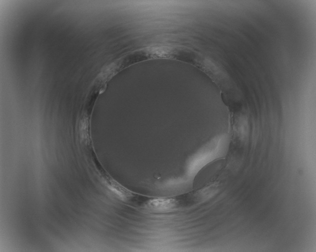 X0000064720526200602101127