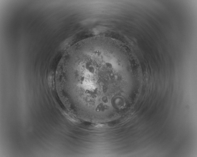 X0000064720527200602101127