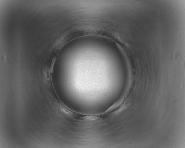 X0000064720528200602101127