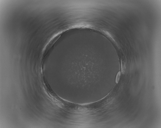 X0000064720531200602101126